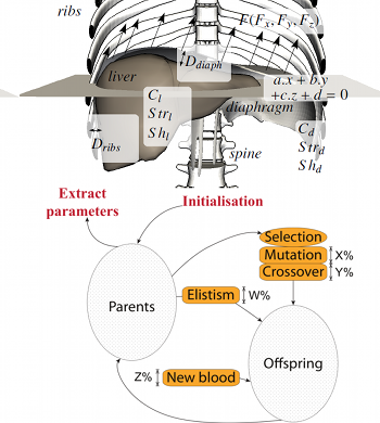 Vidal2013MIBISOC-B illustration